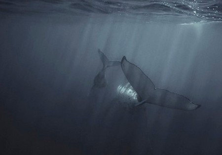 Eleven40 Gallery - Winery Find 4