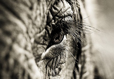 Eleven40 Gallery - Winery Find 5