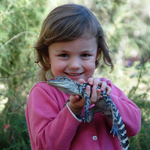 Australian Reptile Park - Winery Find 2
