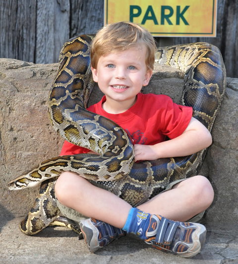 Australian Reptile Park - Winery Find 3