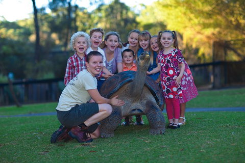 Australian Reptile Park - Winery Find 11