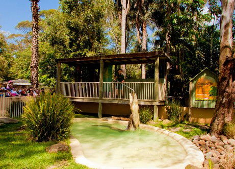 Featherdale Wildlife Park - Winery Find 2