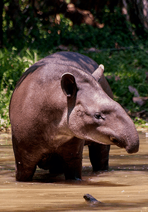 Alma Park Zoo - Winery Find 4