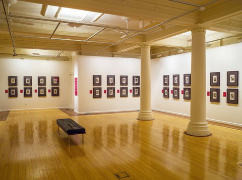 Cairns Regional Gallery - Winery Find 2