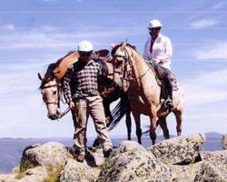 High Country Horses - Winery Find 3
