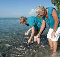 Aquascene Fish Feeding Sanctuary - Winery Find