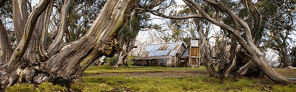 High Country Scenic Tours - Winery Find