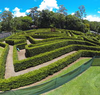 Bellingham Maze - Winery Find