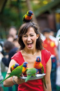 Currumbin Wildlife Sanctuary - Winery Find 10