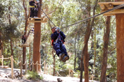 Currumbin Wildlife Sanctuary - Winery Find 11