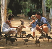 Billabong Sanctuary - Winery Find