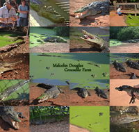 The Malcolm Douglas Crocodile Park - Winery Find
