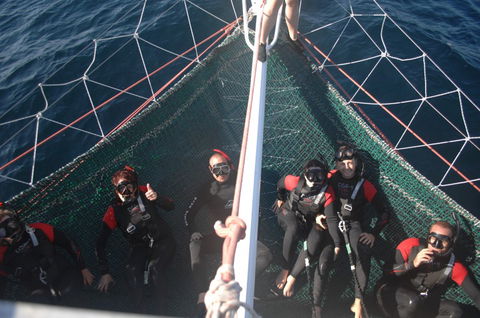 Dolphin Swim Australia - Winery Find 4
