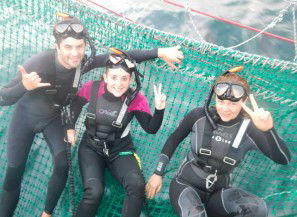 Dolphin Swim Australia - Winery Find 7