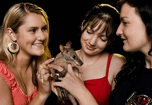 Cairns Night Zoo - Winery Find 1