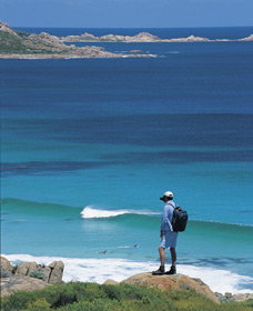 Smiths Beach - Winery Find 0