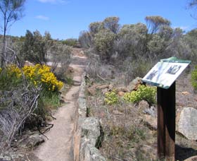 Christmas Rock Walk - Winery Find 0