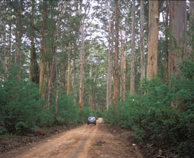 Boranup Drive - Winery Find 0