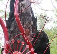 Understory Art In Nature - Winery Find