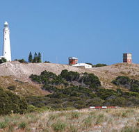 Wadjemup Lighthouse - Winery Find