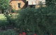 Heritage Rose Garden - thumb 0