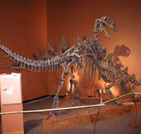 Denmark Dinosaur World - Winery Find