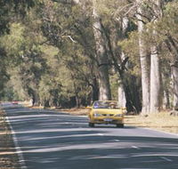 Ludlow Tuart Forest - Winery Find
