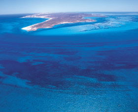 Dirk Hartog Island - Winery Find 0