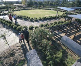 Kojonup Rose Maze - Winery Find 0