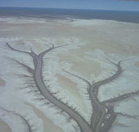 Tidal Flats - Winery Find