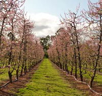 Raeburn Orchards - Winery Find