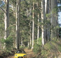 Mount Shadforth Scenic Drive - Winery Find