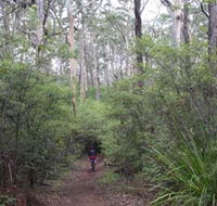 Margaret River Rails Trail - Winery Find