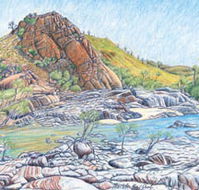 Red Dirt Arts - Winery Find
