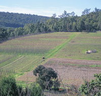 Darling Range - Winery Find