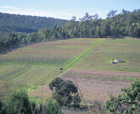 Darling Range - Winery Find 0