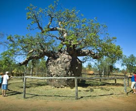 Pigeon Heritage Trail - Winery Find 0