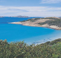 The Great Ocean Drive - Winery Find