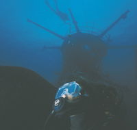Swan Dive Wreck - Winery Find