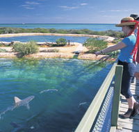 Shark Bay Marine Park - Winery Find