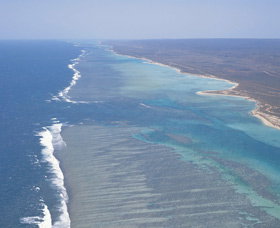 Mandu Sanctuary Zone - Winery Find 0