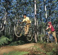Leeuwin-Naturaliste National Park - Cowaramup - Winery Find