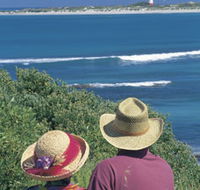 Separation Point Lookout - Winery Find