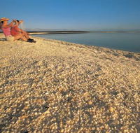 Shell Beach - Winery Find