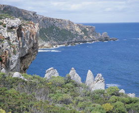 Point D'Entrecasteaux - Winery Find 0