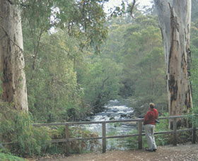 Cascades - Winery Find 0