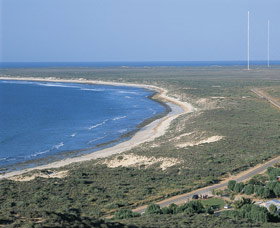 Surfers Beach - Winery Find 0