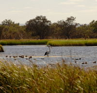 Anytime Adventures in Mandurah  the Peel Region - Winery Find