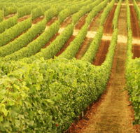 Fermoy Estate - Winery Find