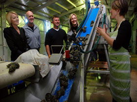 Eyre Peninsula's Seafood Trail - Winery Find 0